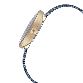 Sonata Poze Quartz Analog Blue Dial Mesh Strap Watch for